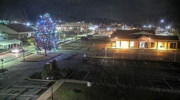 Weather camera view of Erwin Town Hall.