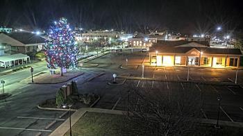 Weather camera view of Erwin Town Hall.