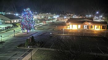 Weather camera view of Erwin Town Hall.