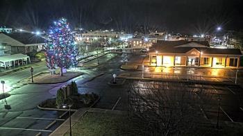 Weather camera view of Erwin Town Hall.