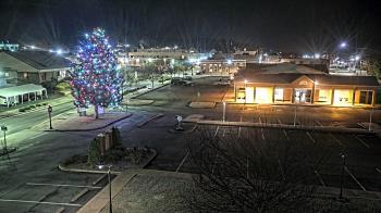 Weather camera view of Erwin Town Hall.