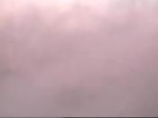 Weather camera view of School Board Safety Dept..