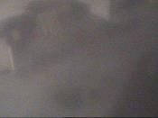 Weather camera view of School Board Safety Dept..