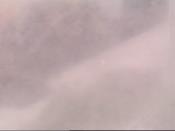 Weather camera view of School Board Safety Dept..