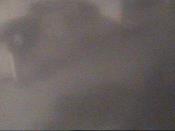 Weather camera view of School Board Safety Dept..