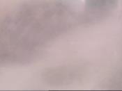 Weather camera view of School Board Safety Dept..