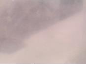 Weather camera view of School Board Safety Dept..