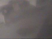 Weather camera view of School Board Safety Dept..