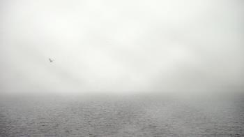 Weather camera view of Florida Yacht Club.