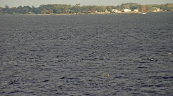 Weather camera view of Florida Yacht Club.
