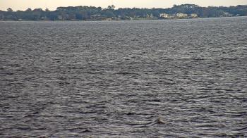 Weather camera view of Florida Yacht Club.