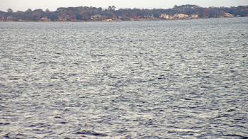 Weather camera view of Florida Yacht Club.