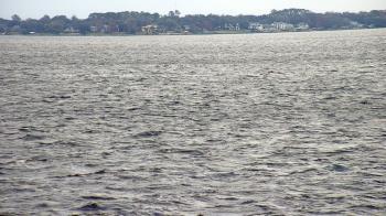 Weather camera view of Florida Yacht Club.