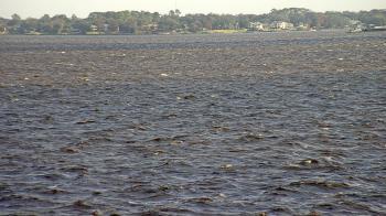 Weather camera view of Florida Yacht Club.