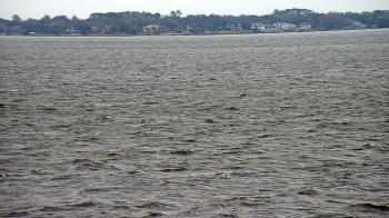 Weather camera view of Florida Yacht Club.