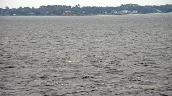 Weather camera view of Florida Yacht Club.