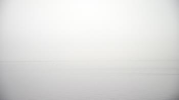 Weather camera view of Florida Yacht Club.