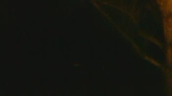 Weather camera view of Frenchglen ES.