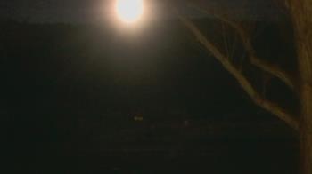 Weather camera view of Frenchglen ES.