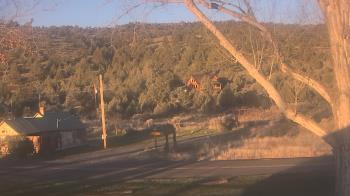 Weather camera view of Frenchglen ES.