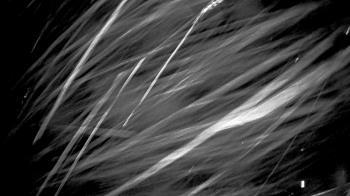 Weather camera view of Southwest Christian School.