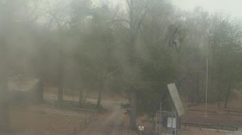 Weather camera view of Camp Marymount.