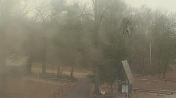 Weather camera view of Camp Marymount.