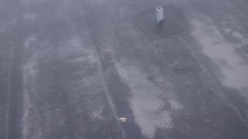 Weather camera view of Fox Trail ES.