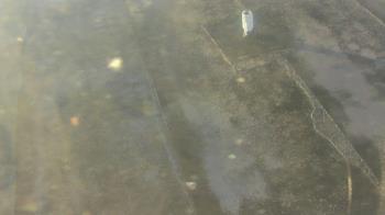 Weather camera view of Fox Trail ES.