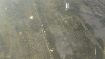 Weather camera view of Fox Trail ES.