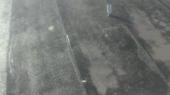 Weather camera view of Fox Trail ES.