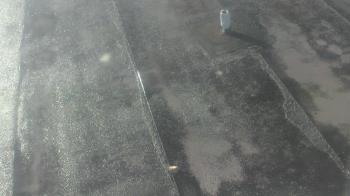 Weather camera view of Fox Trail ES.