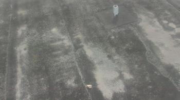 Weather camera view of Fox Trail ES.