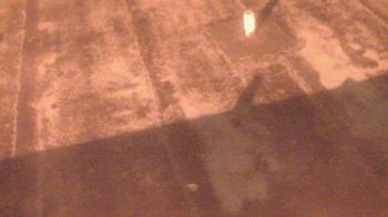 Weather camera view of Fox Trail ES.