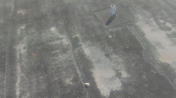 Weather camera view of Fox Trail ES.