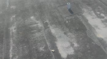 Weather camera view of Fox Trail ES.