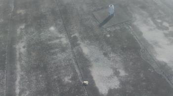 Weather camera view of Fox Trail ES.