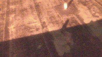 Weather camera view of Fox Trail ES.