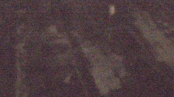 Weather camera view of Fox Trail ES.