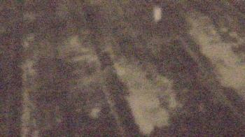 Weather camera view of Fox Trail ES.