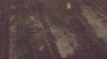 Weather camera view of Fox Trail ES.