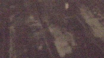 Weather camera view of Fox Trail ES.