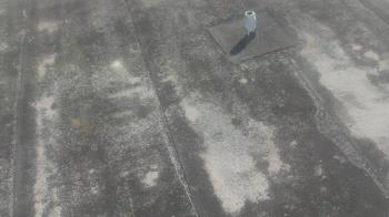 Weather camera view of Fox Trail ES.