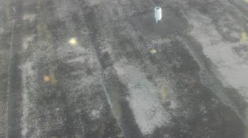 Weather camera view of Fox Trail ES.