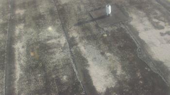 Weather camera view of Fox Trail ES.