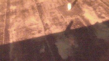 Weather camera view of Fox Trail ES.