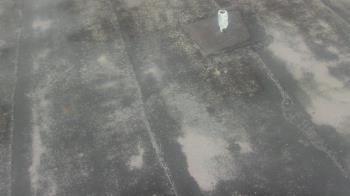 Weather camera view of Fox Trail ES.