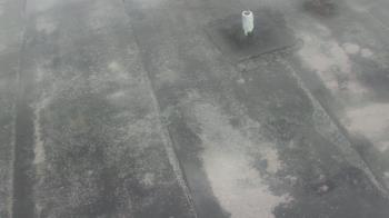 Weather camera view of Fox Trail ES.