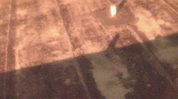 Weather camera view of Fox Trail ES.