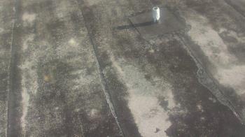 Weather camera view of Fox Trail ES.